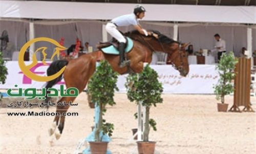 خرید اسب و فروش اسب_indine