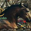 خرید اسب و فروش اسب_تارخ حمزه