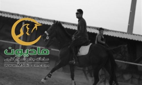 خرید اسب و فروش اسب_دراگونو داسیلوا