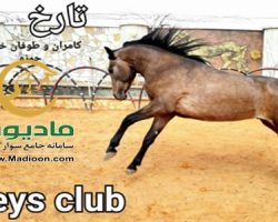 خرید اسب و فروش اسب_سزار حمزه