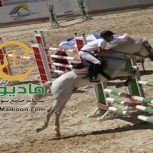 خرید اسب و فروش اسب_سیلورسان
