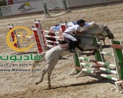 خرید اسب و فروش اسب_سیلورسان