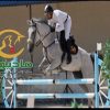 خرید اسب و فروش اسب_پاریس