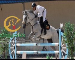 خرید اسب و فروش اسب_پاریس