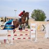 خرید اسب و فروش اسب_کیا