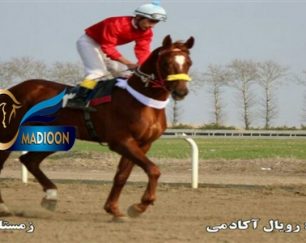 خرید اسب و فروش اسب_رویال آکادمی