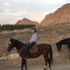 خرید اسب و فروش اسب_اسب مسابقه