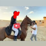 خرید اسب و فروش اسب_نریان کرد