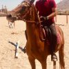 خرید اسب و فروش اسب_ ساغر