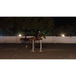 خرید اسب و فروش اسب _Axor