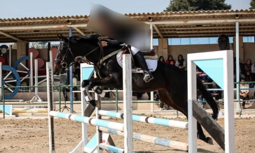 خرید اسب و فروش اسب_ تایسون