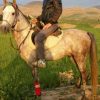 خرید اسب و فروش اسب_ اسب نریان عرب