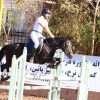 خرید اسب و فروش اسب_مادیون دوخون