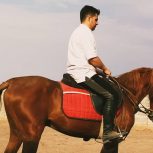 خرید اسب و فروش اسب_اسب ترکمن کره ی ارشک