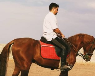خرید اسب و فروش اسب_اسب ترکمن کره ی ارشک