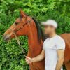 خرید اسب و فروش اسب_طلاقوش