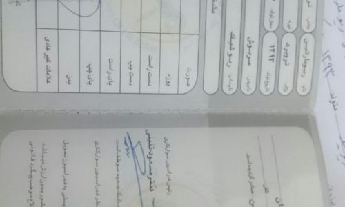 مادیون خرید اسب و فروش اسب_سیلمی تروبرد دو سر خارجی